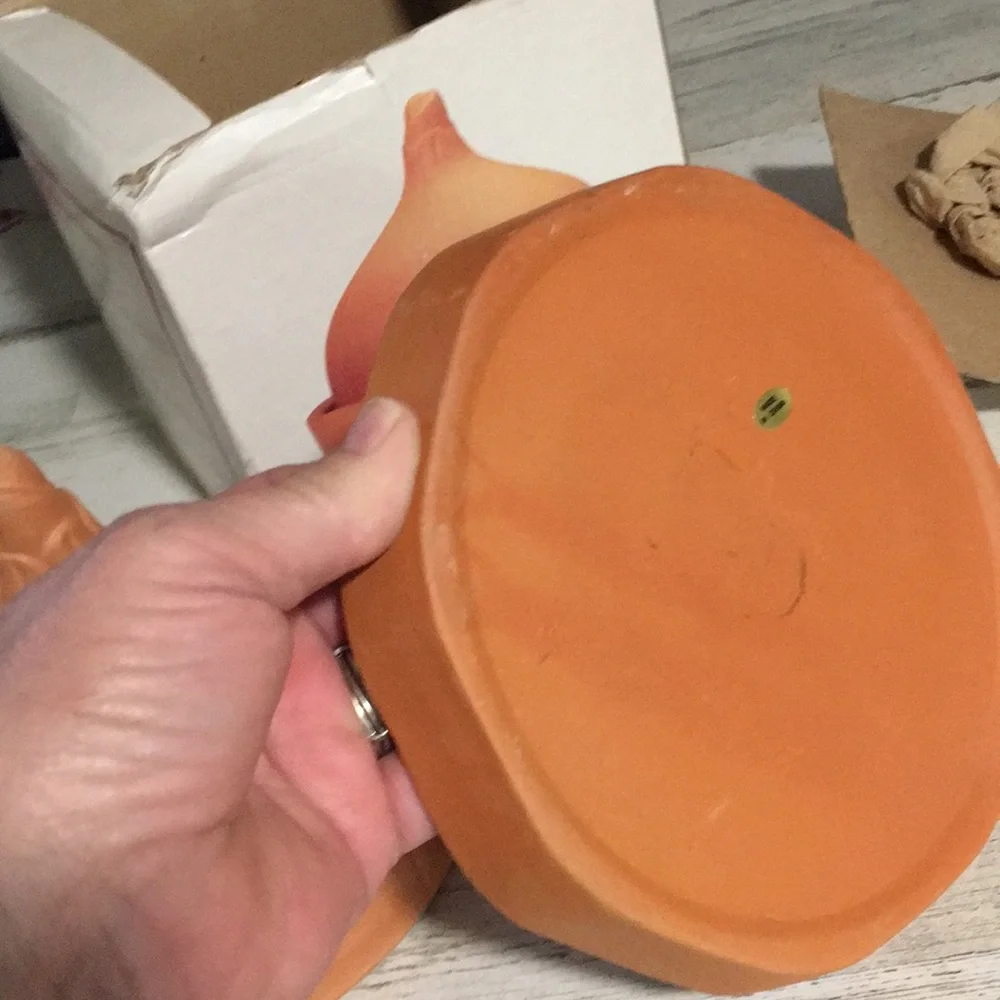 Terra Cotta Jumbo Onion Roaster in original box. Can also use for garlic